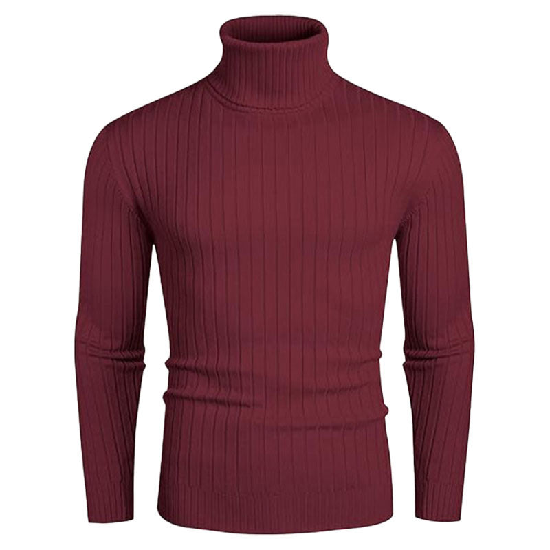 Herren Rollkragenpullover Elastisch Rippendesign Modern