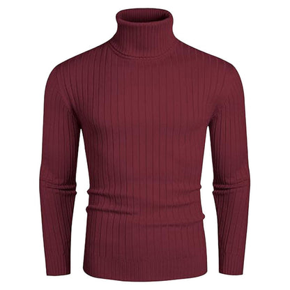 Herren Rollkragenpullover Elastisch Rippendesign Modern