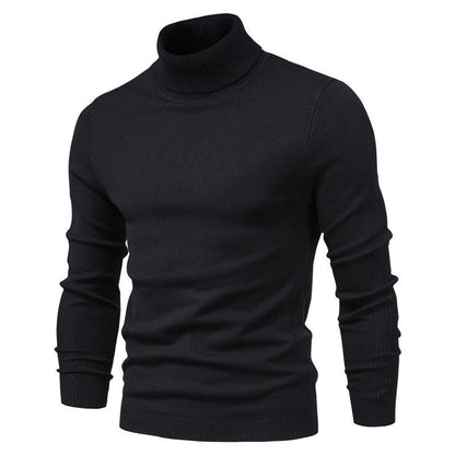 Herren Rollkragenpullover Fein Strick Elegante Optik