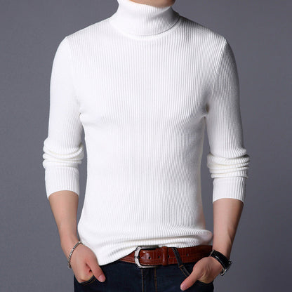Herren Feinpullover Modern Strick Design