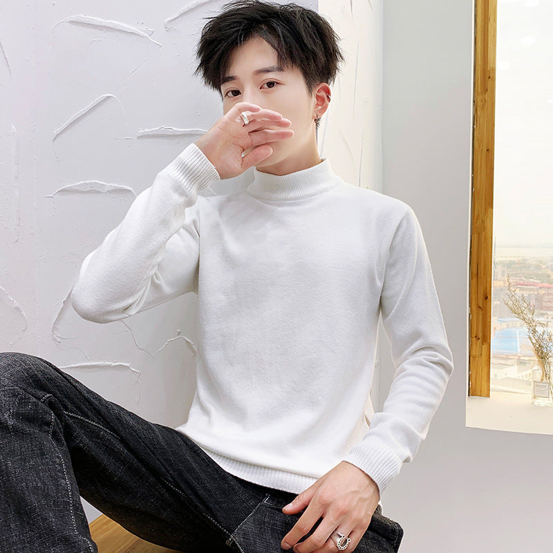 Herren Rollkragenpullover Feine Baumwolle Hochwertig