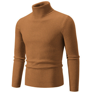 Herren Pullover Rollkragen Struktur Rippenmuster Modern