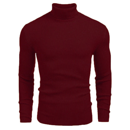 Herren Rollkragenpullover Strukturiert Modern Stadtstyle