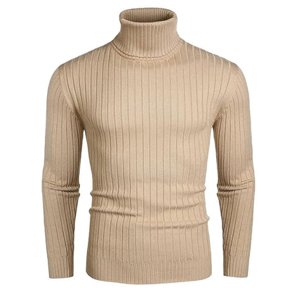 Herren Rollkragenpullover Elastisch Rippendesign Modern