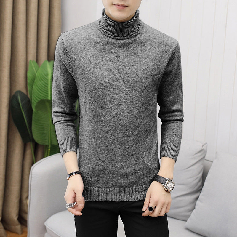 Herren Rollkragenpullover Modisch Fein Strukturiert