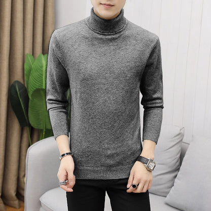 Herren Rollkragenpullover Modisch Fein Strukturiert