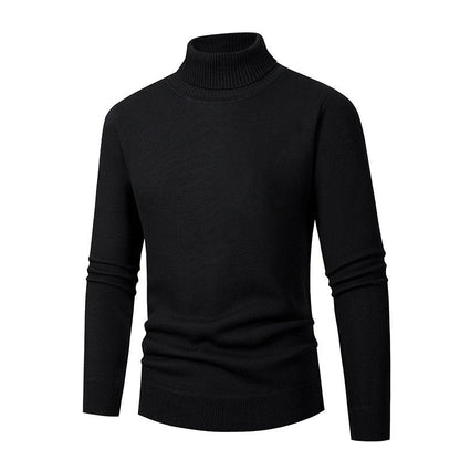 Herren Rollkragenpullover Eleganter Pullover Hochwertig
