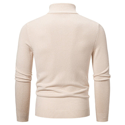 Herren Rollkragenpullover Modern mit Struktur-Muster Elegante Optik