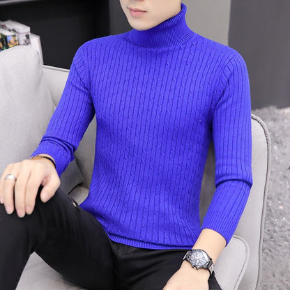 Herren Pullover Rollkragen Rippstrick Design Modern