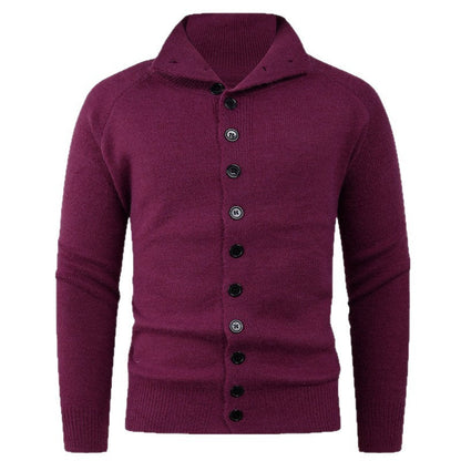 Herren Strickpullover Hochkragen Knopfverschluss Modern