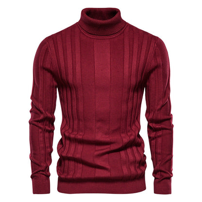 Herren Strickpullover Hochgeschlossen Elegante Rippstruktur