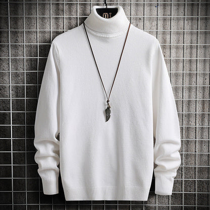 Herren Rollkragenpullover Bequem Warm Modern
