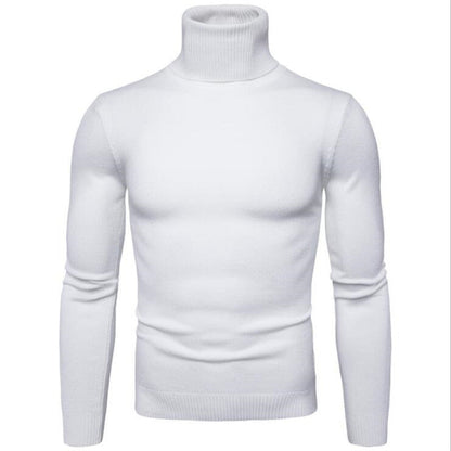 Herren Rollkragenpullover Fein Strick Pullover Modern