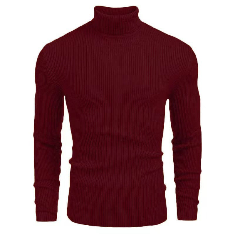 Herren Pullover Rollkragen Struktur Rippenmuster Modern