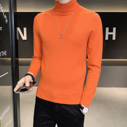 Herren Pullover Weich Strickware Hochkragen Modern