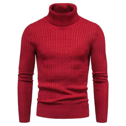 Herren Rollkragenpulli Struktur Zopfmuster Pullover Modern
