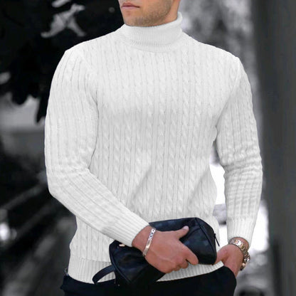 Herren Rollkragenpullover Zopfmuster Modern
