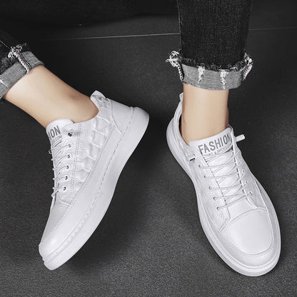 Damen Sneaker Krokodil Design Bequem Trendy