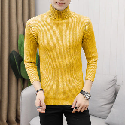 Herren Rollkragenpullover Feinrippstruktur Modern