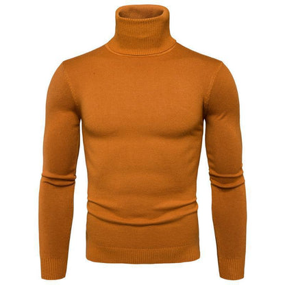 Herren Rollkragenpullover Fein Strick Hochwertig Elegант