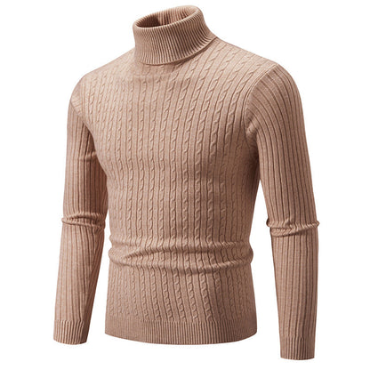 Herren Rollkragenpullover Strukturiert Zopfmuster Modisch