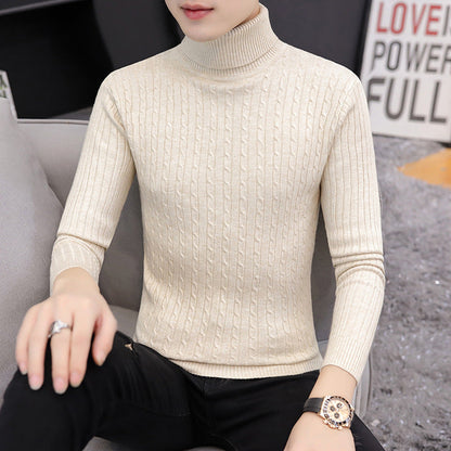 Herren Pullover Rollkragen Rippstrick Design Modern