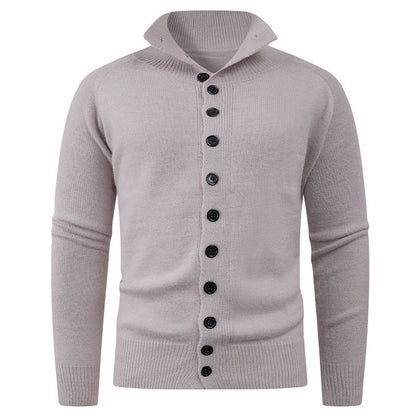Herren Strickpullover Hochkragen Knopfverschluss Modern