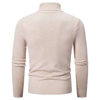 Herren Rollkragenpullover Modern Zopfmuster Elegante Männerpullover