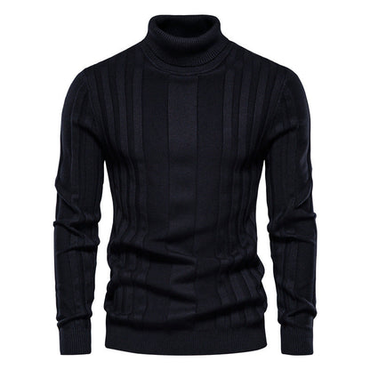 Herren Strickpullover Hochgeschlossen Elegante Rippstruktur