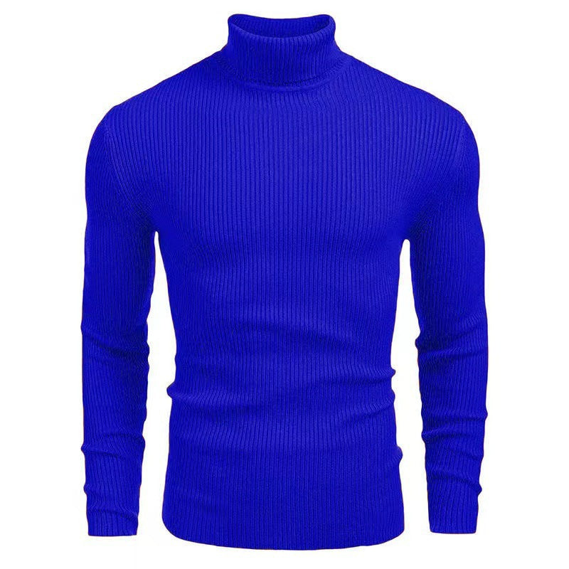 Herren Pullover Rollkragen Struktur Rippenmuster Modern