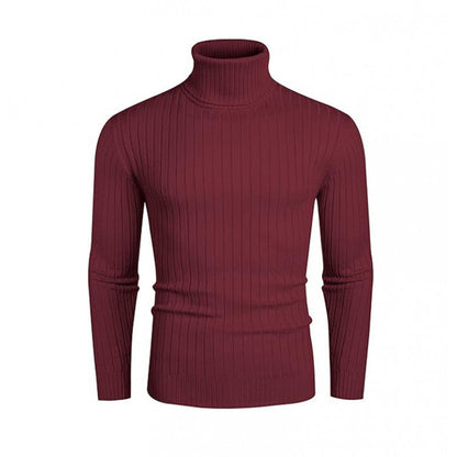 Rollkragenpullover Herren Modern mit Rippenmuster Fein
