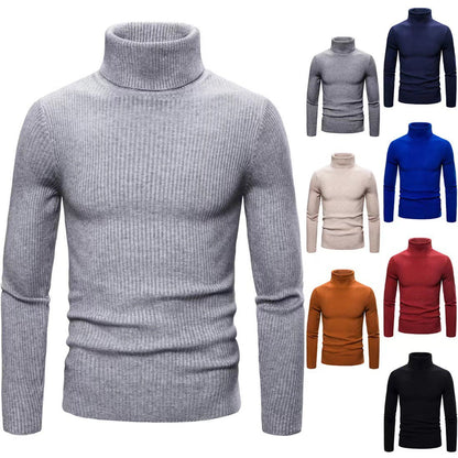 Herren Rollkragenpullover Feinrippstruktur Modern