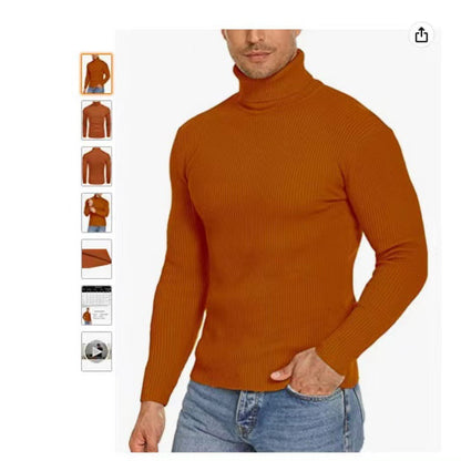 Herren Pullover Stehkragen Ribbelstrick Modern