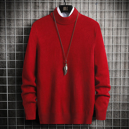 Herren Rollkragenpullover Weich Strick Qualität Modern