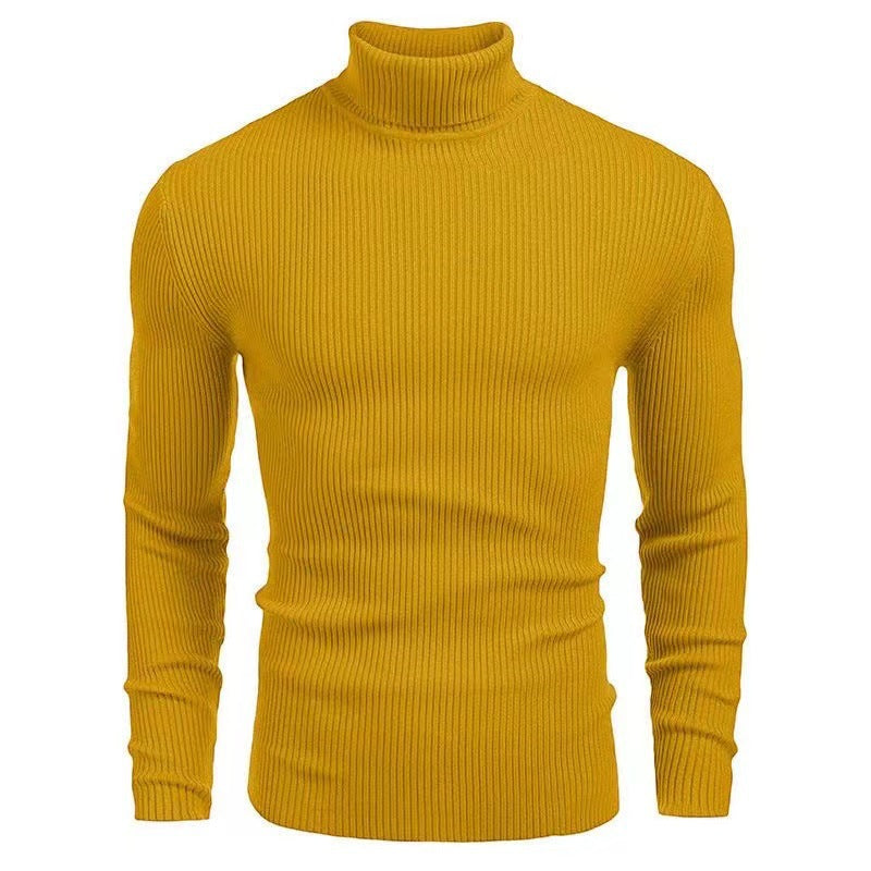 Herren Pullover Rollkragen Struktur Rippenmuster Modern