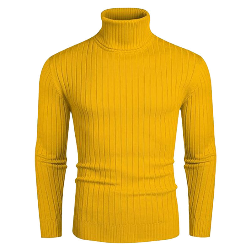 Herren Rollkragenpullover Elastisch Rippendesign Modern