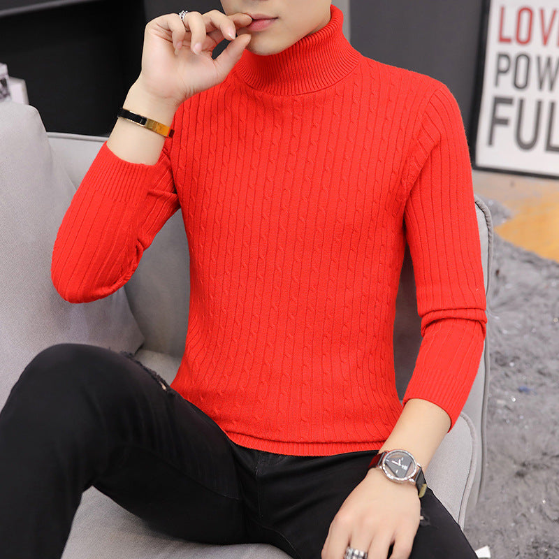 Herren Pullover Rollkragen Rippstrick Design Modern