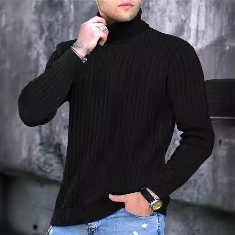 Herren Strickpullover Modern Rippmuster Hochkragen