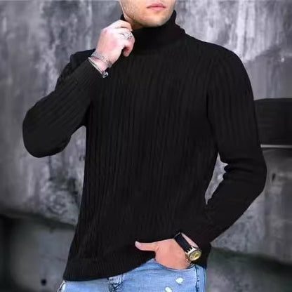 Herren Strickpullover Modern Rippmuster Hochkragen