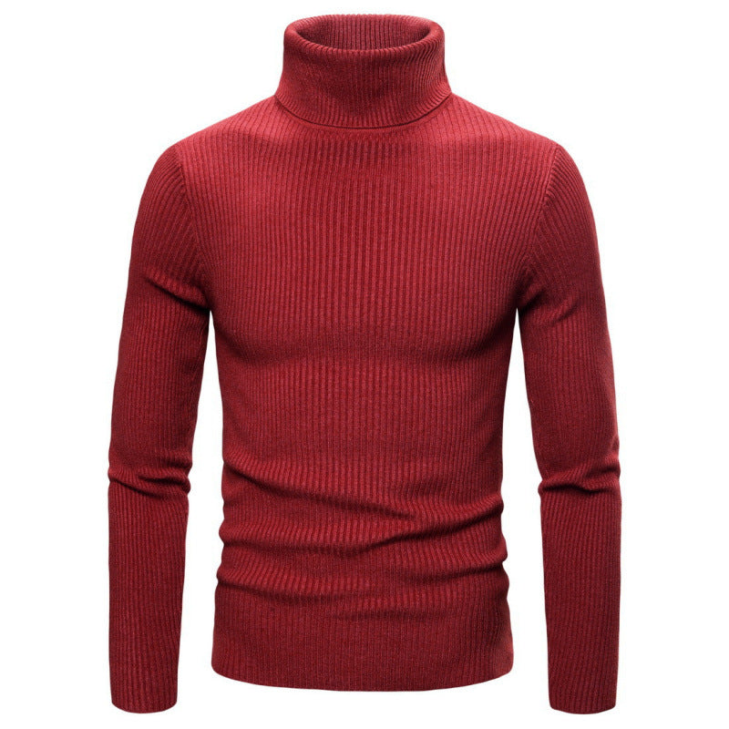 Herren Rollkragenpullover Struktur Optik Modern