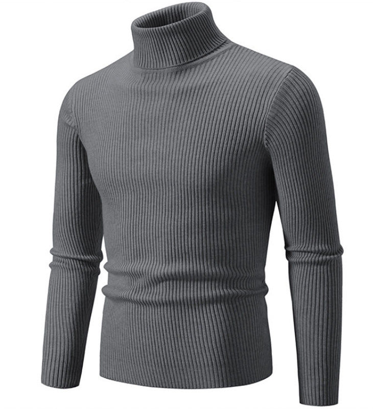 Herren Pullover Rollkragen Struktur Rippenmuster Modern