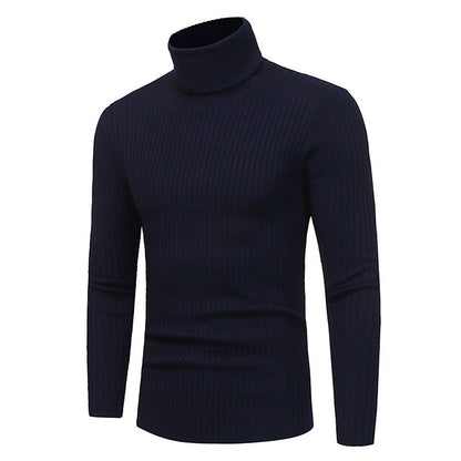 Herren Pullover Rollkragen Modern Hochwertig