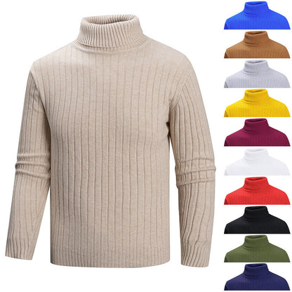 Herren Pullover Eleganter Hohler Kragen Struktur