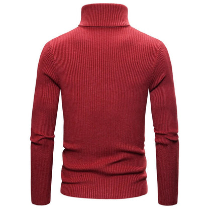 Herren Strickpullover Slim Fit Hochkragen Ripp Optik