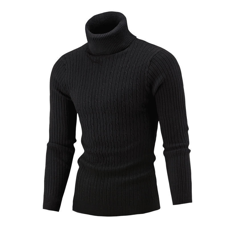 Herren Rollkragenpullover Struktur Zopfmuster Modern