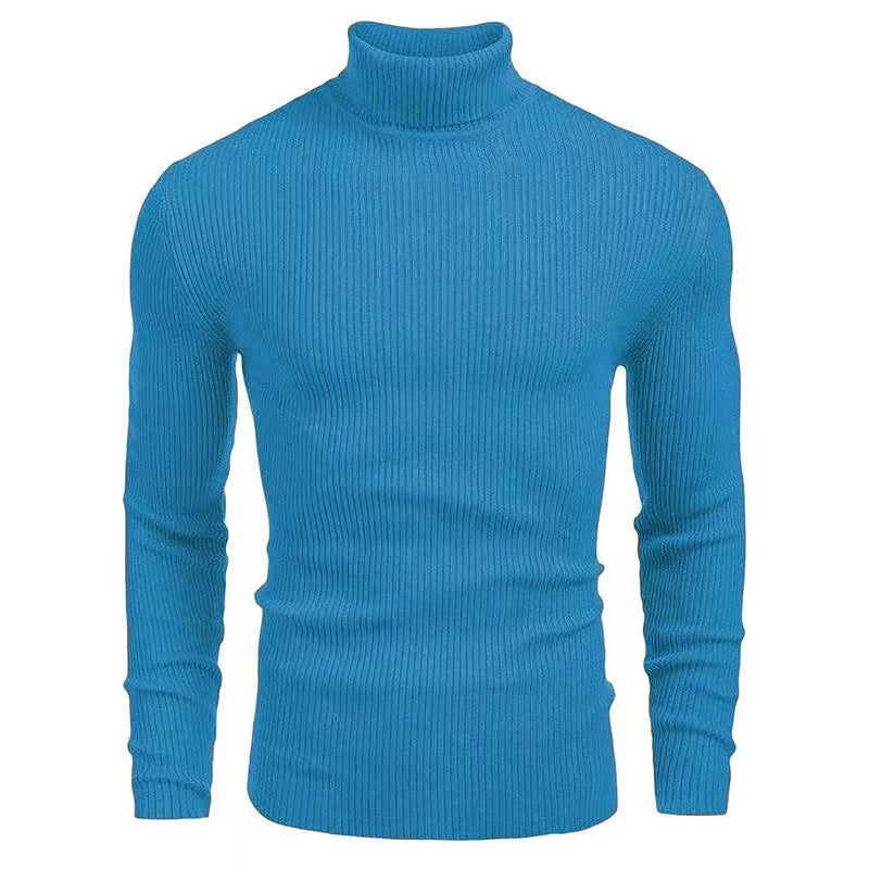 Herren Pullover Rollkragen Struktur Rippenmuster Modern
