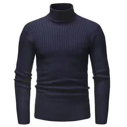 Herren Rollkragenpulli Struktur Zopfmuster Pullover Modern