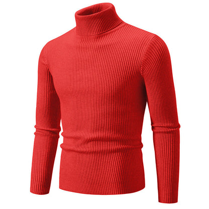 Herren Rollkragenpullover Fein Gerippt Elegantes Design