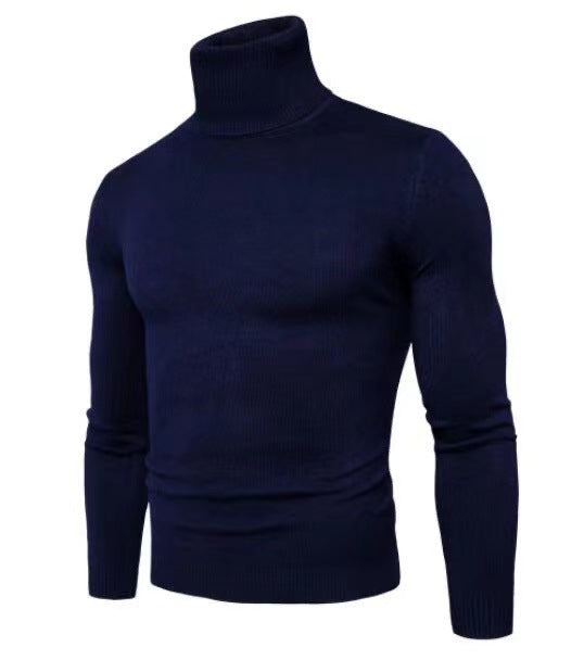 Herren Rollkragenpullover Feine Merinowolle Modern