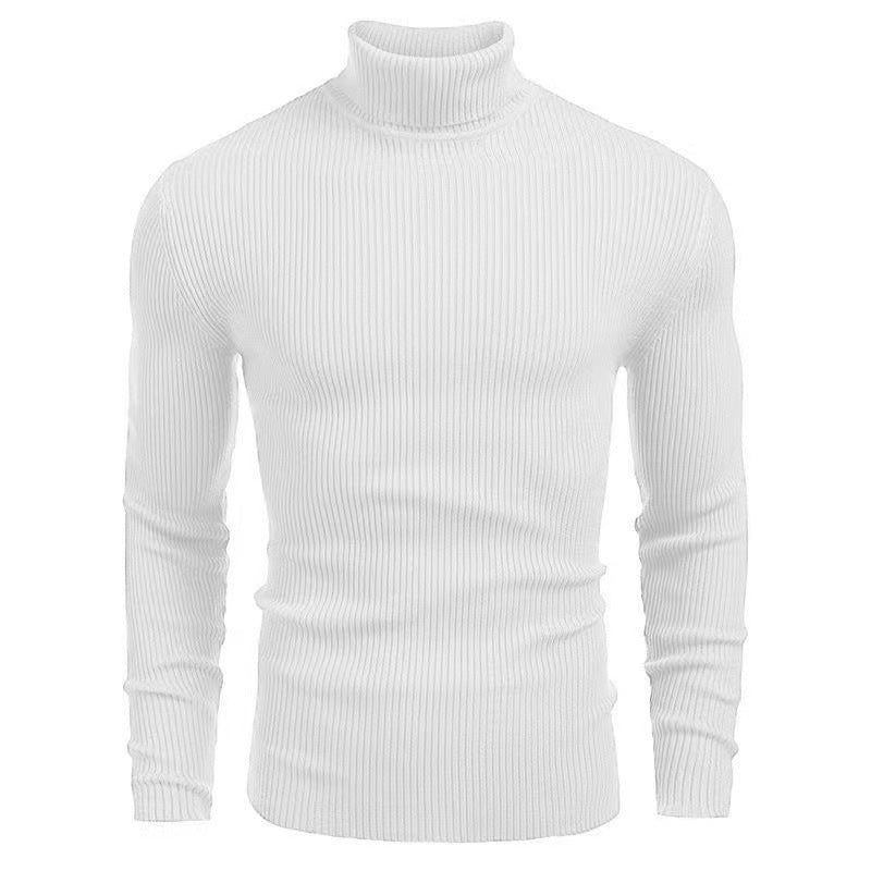 Herren Pullover Rollkragen Struktur Rippenmuster Modern